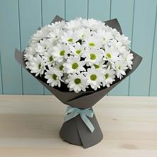 Букет цветов из:  Хризантемы в Жабкино