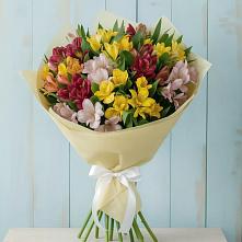 Букет цветов из:  Альстромерии в Жабкино