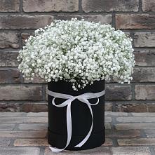 Цветочная композиция из Гипсофила в шляпной коробке в Жабкино