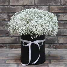 Цветочная композиция из Гипсофила в шляпной коробке в Жабкино